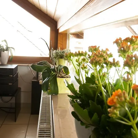 Apartment Briem Wohngefuehl Vermietung *